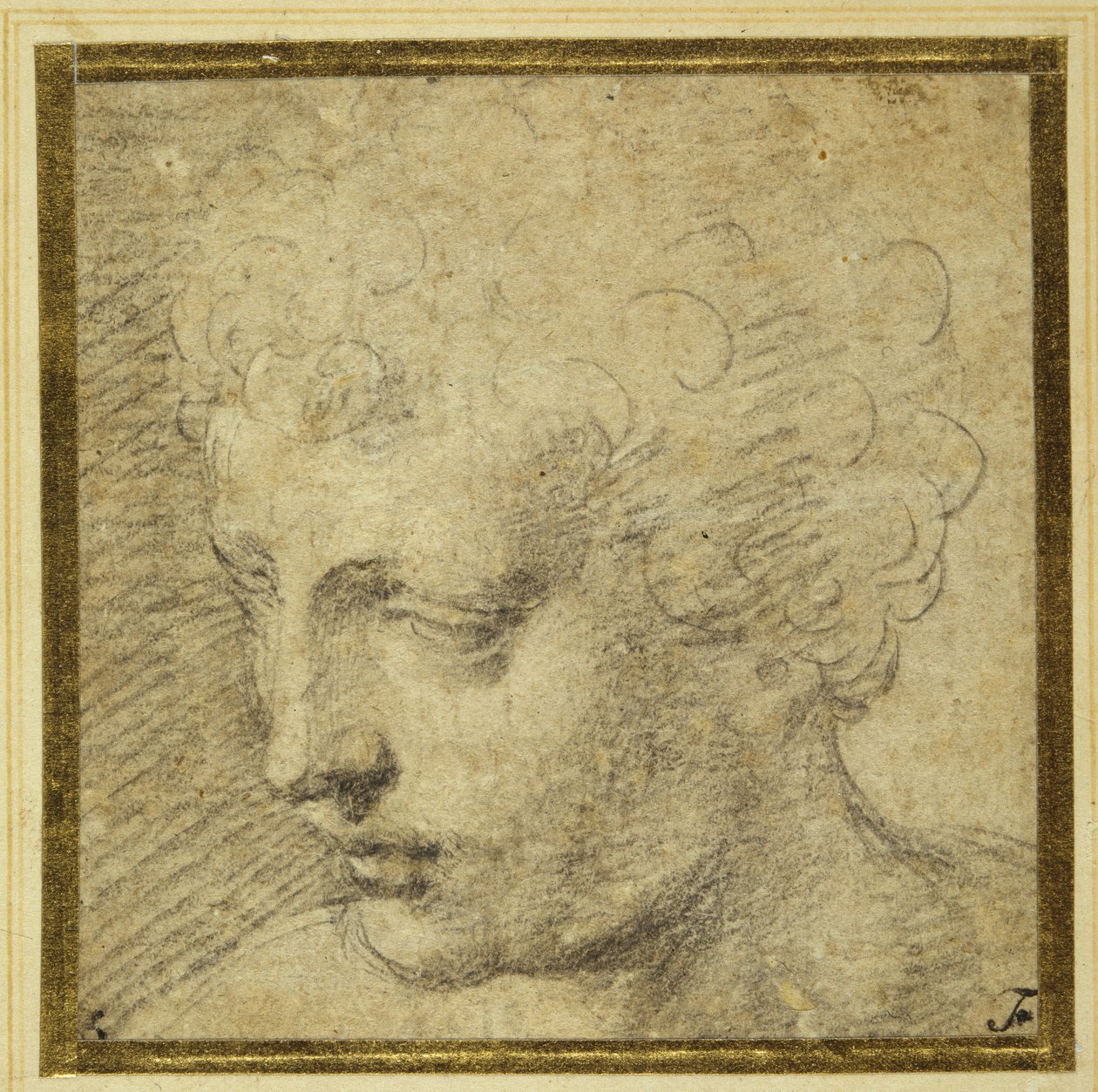 Egy fiú feje, majdnem profilban balra (fekete kréta színezett papíron) alkotó: Parmigianino