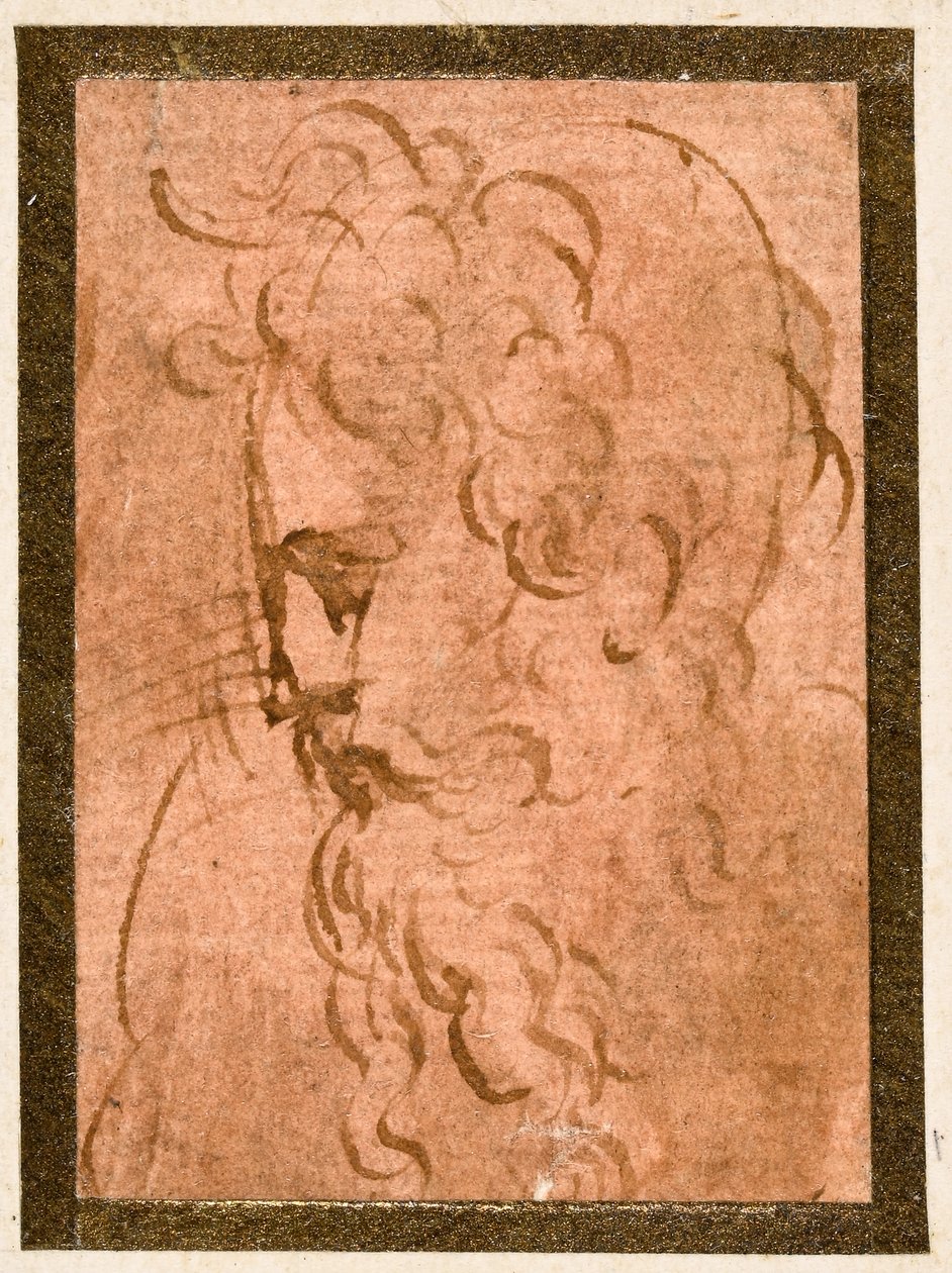 Férfi fej alkotó: Parmigianino