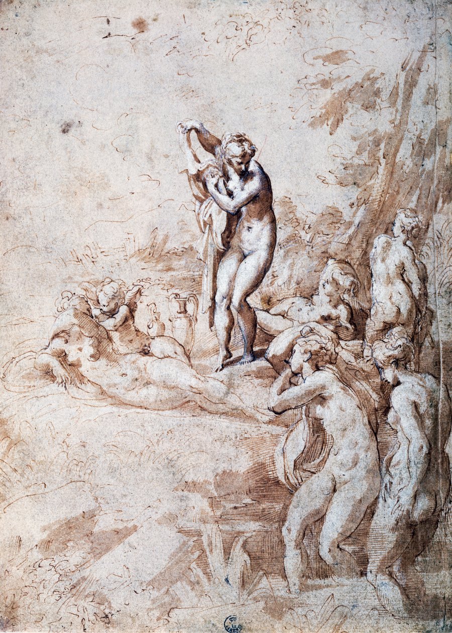 Nimfák fürdetése (toll és hígított tinta, fehér ólom) alkotó: Parmigianino