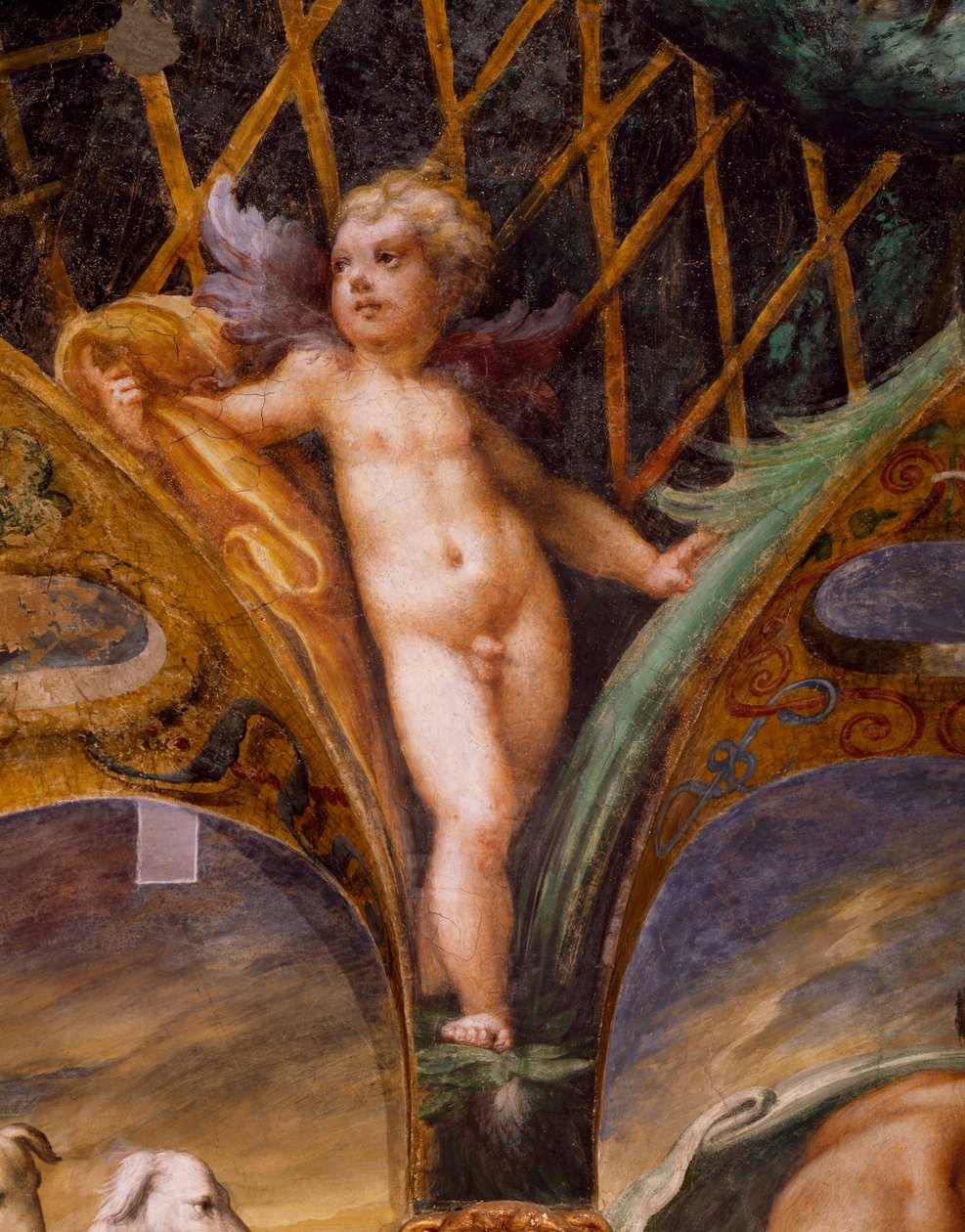 Putto, a Diana mítoszából és az Actaeonból alkotó: Parmigianino