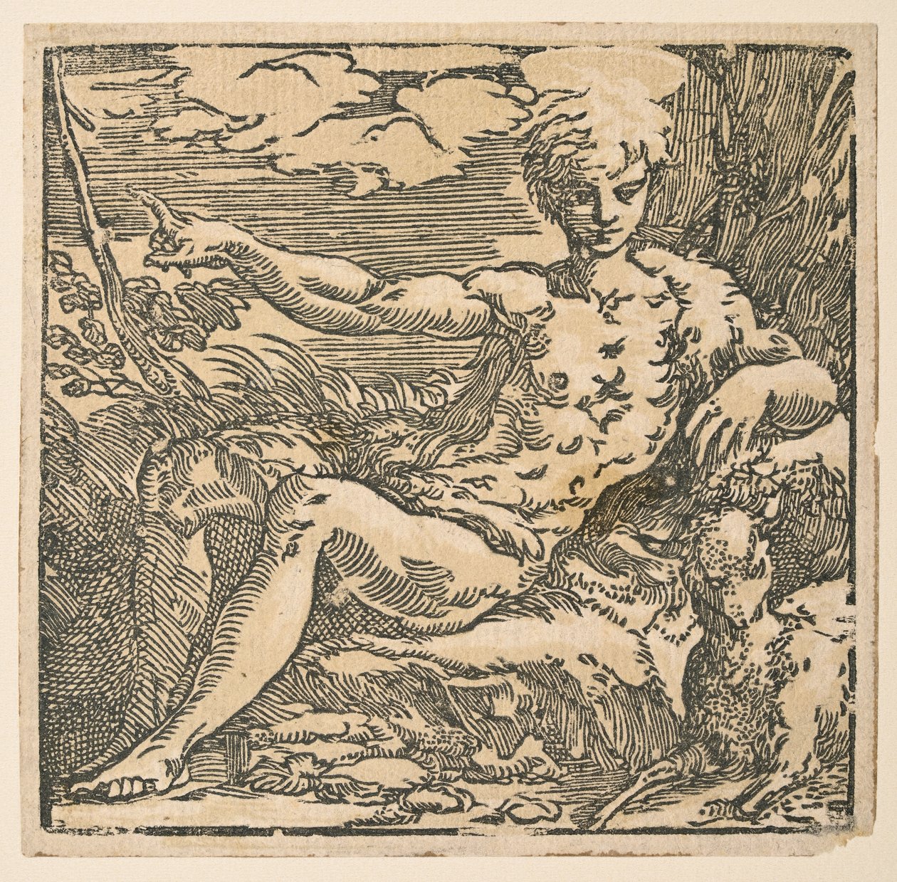 Keresztelő Szent János a pusztában alkotó: Parmigianino