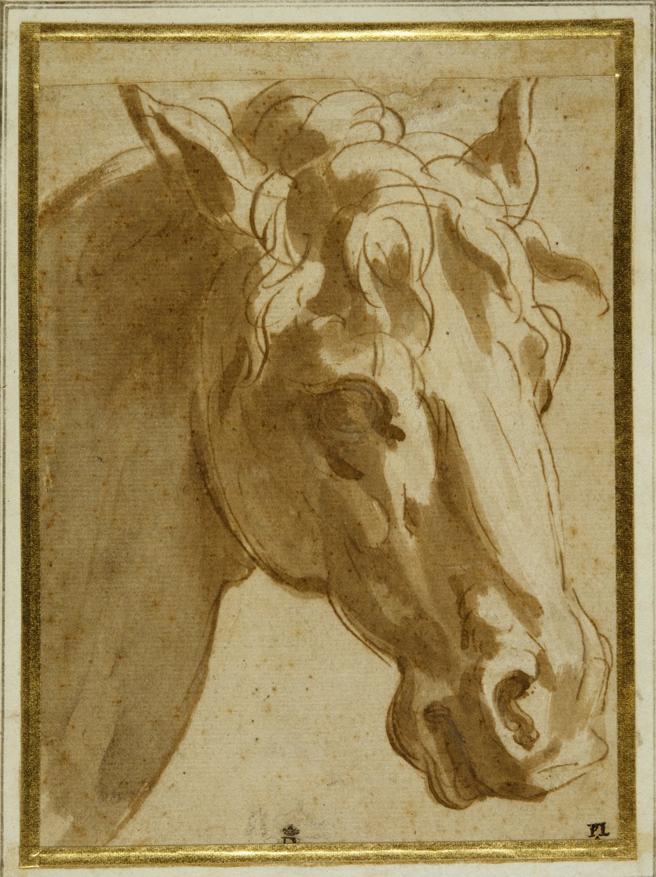 A ló feje és nyaka (toll és barna tinta krémpapíron mosással) alkotó: Parmigianino