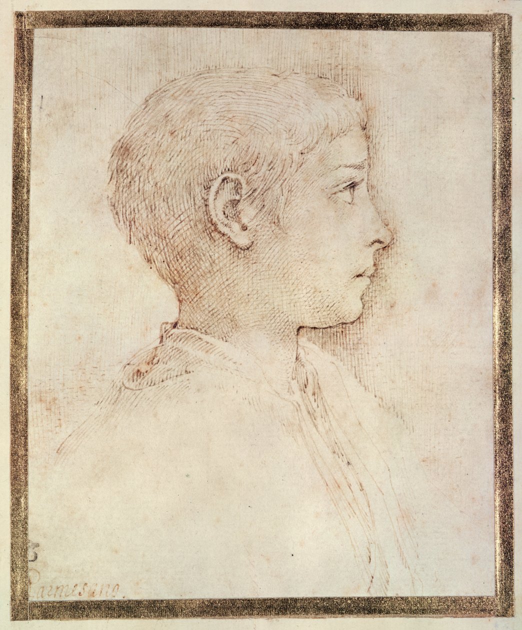 Egy fiú feje alkotó: Parmigianino