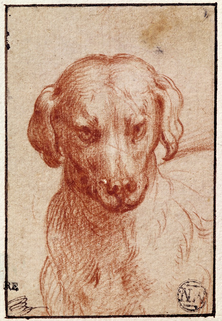 Kutya feje (piros kréta papíron) alkotó: Parmigianino