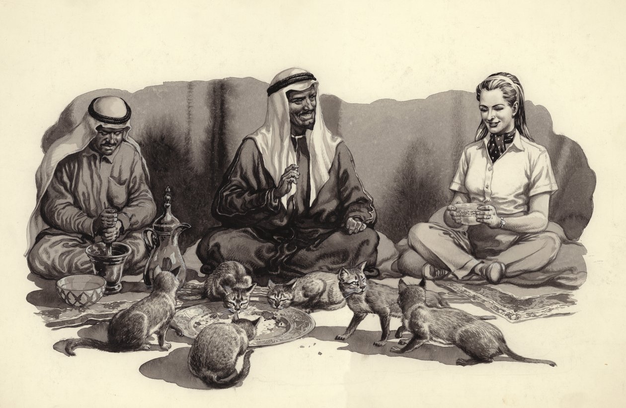 Egy arab férfi eteti macskáit (gouache, papír) alkotó: Pat (1907 95) Nicolle
