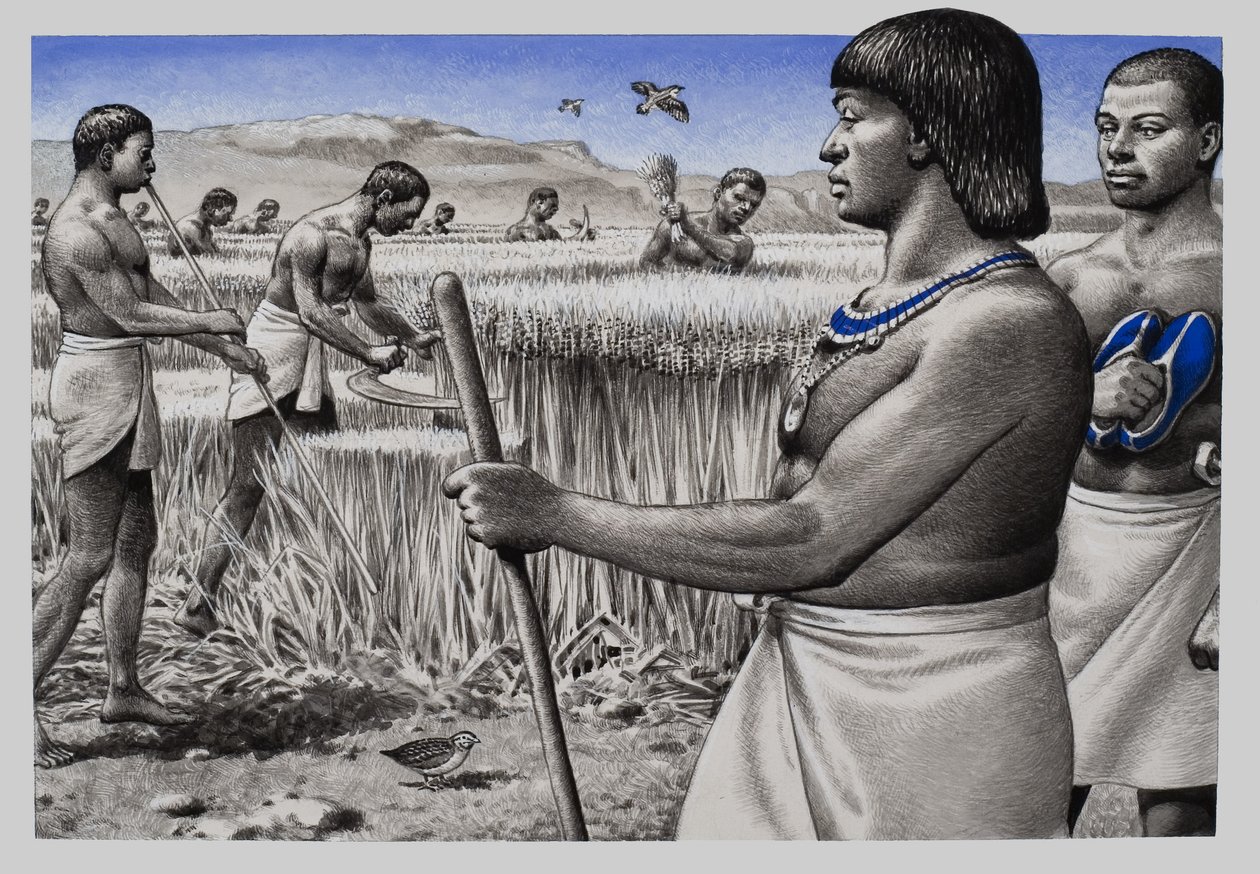 Music While You Work (gouache, papír) alkotó: Pat (1907 95) Nicolle