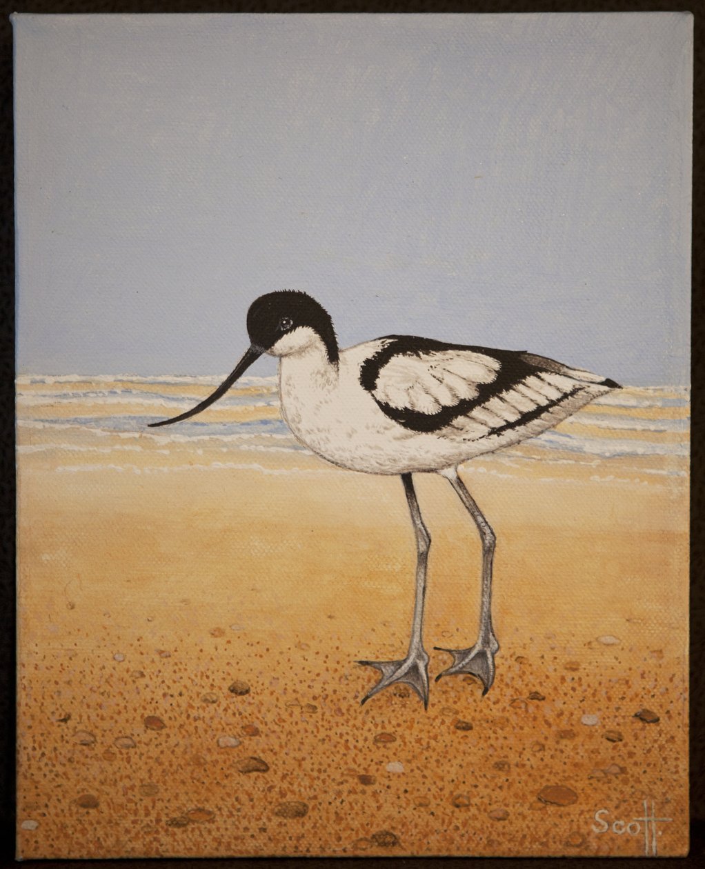 Avocet, 2016 alkotó: Pat Scott