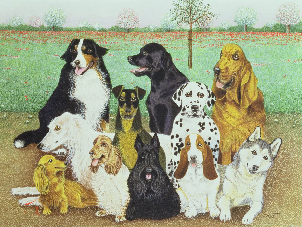 Dog Watch alkotó: Pat Scott