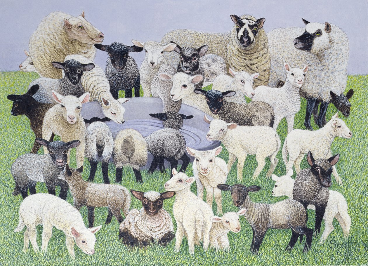 Feeling Sheepish (olaj, vászon) alkotó: Pat Scott