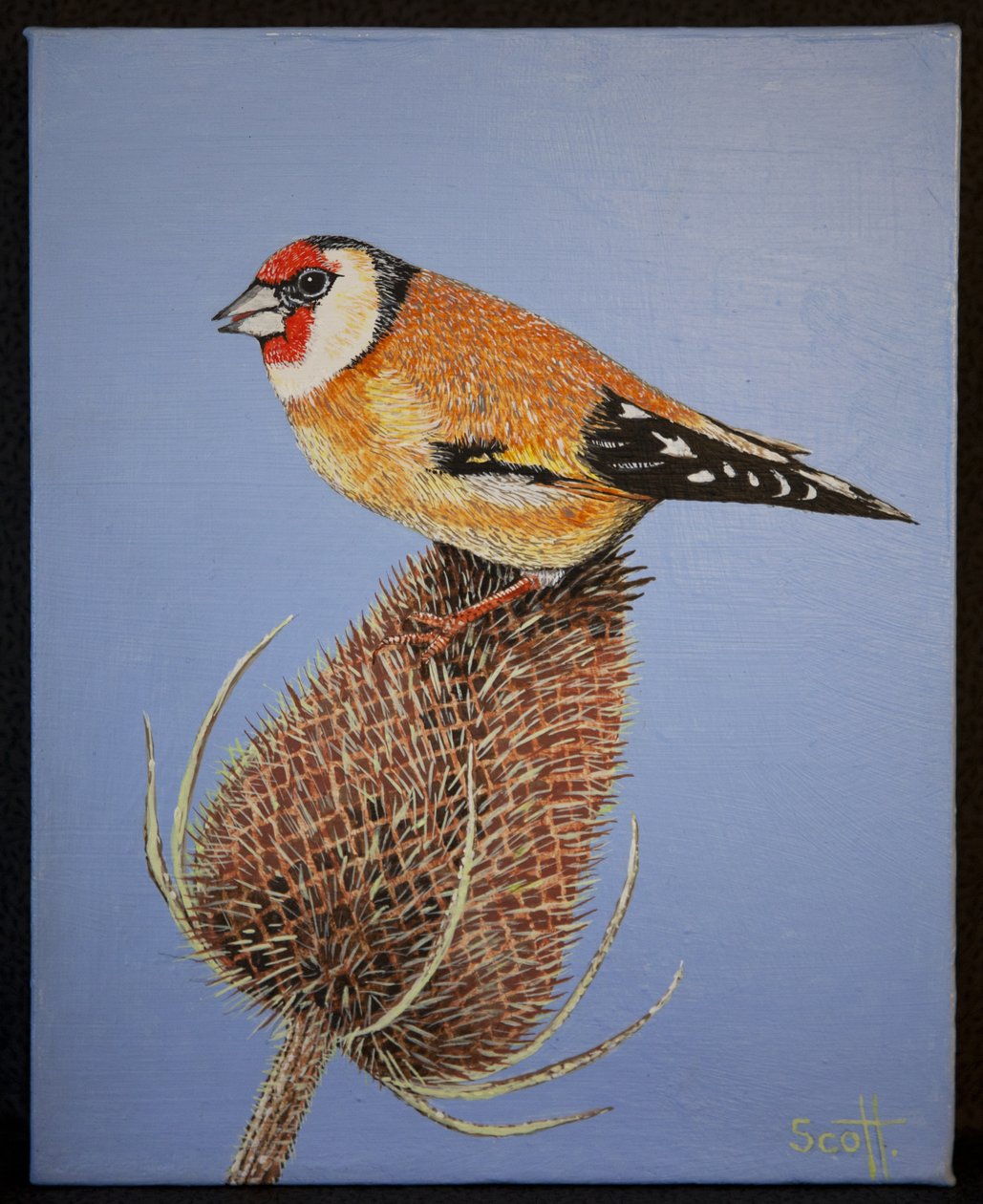 Goldfinch, 2016 alkotó: Pat Scott