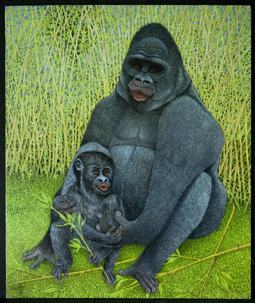 Gorillák alkotó: Pat Scott