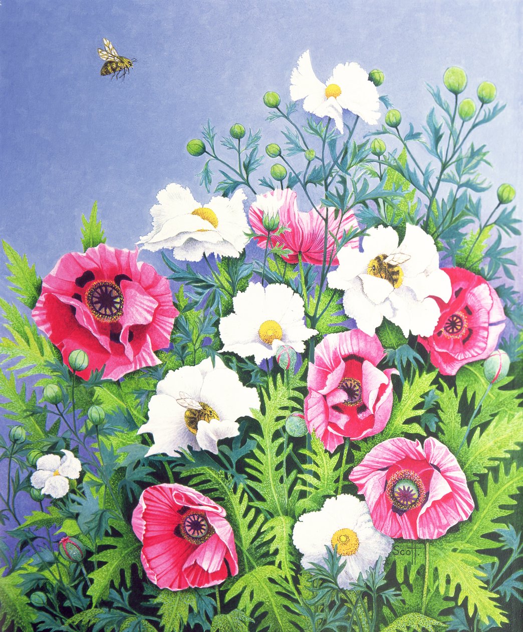 Honey Bee, Honey Bee (olaj, vászon) alkotó: Pat Scott