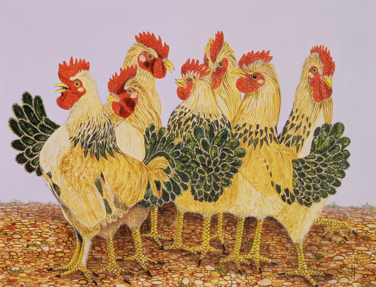 Strutters balett alkotó: Pat Scott