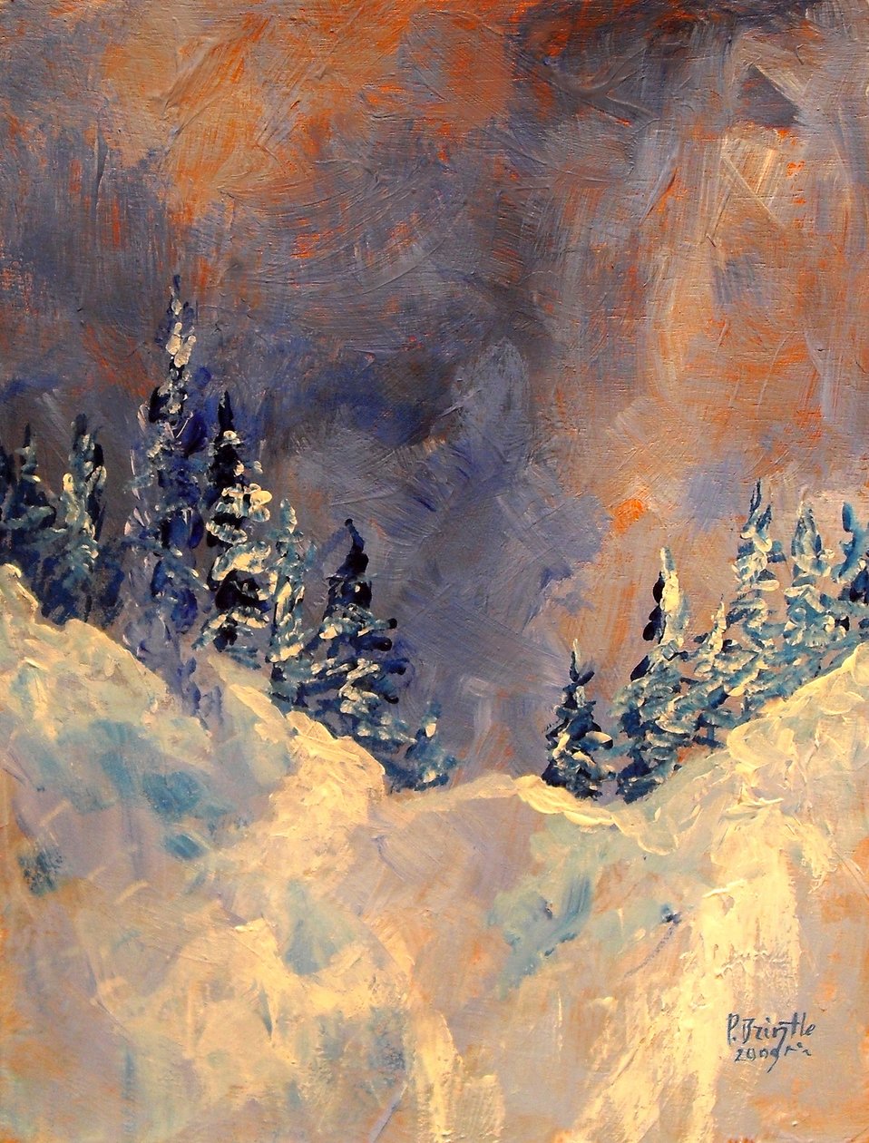 Köd a hócsúcson, 2009, (akril, fa) alkotó: Patricia Brintle