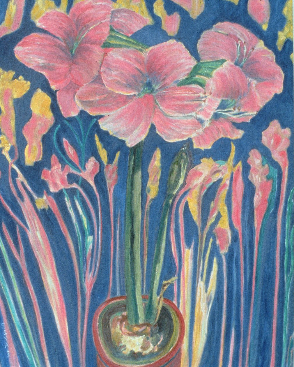 Amarilisz (olaj vászonra) alkotó: Patricia Contemporary Artist Eyre