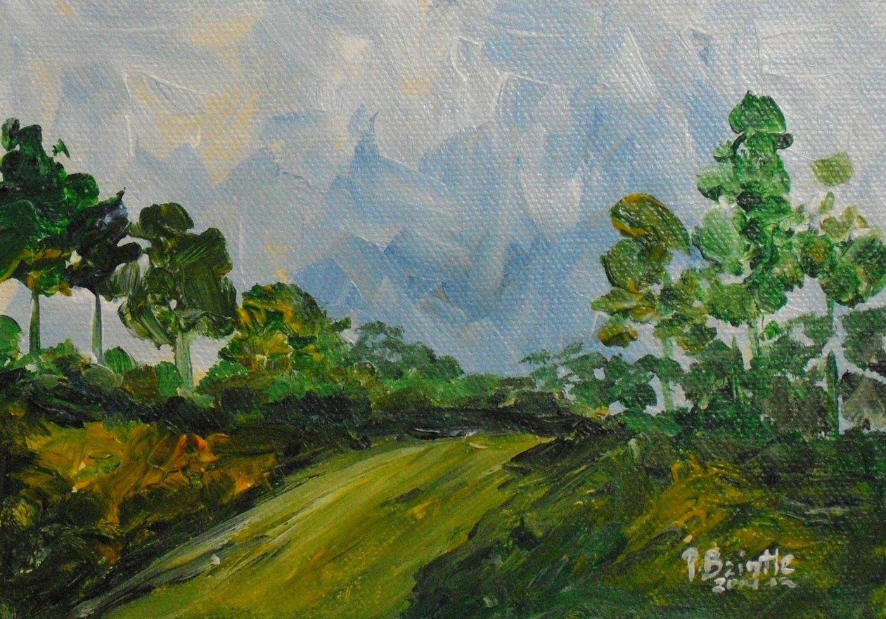 Le a dombról, 2014 (akril, vászon) alkotó: Patricia Brintle