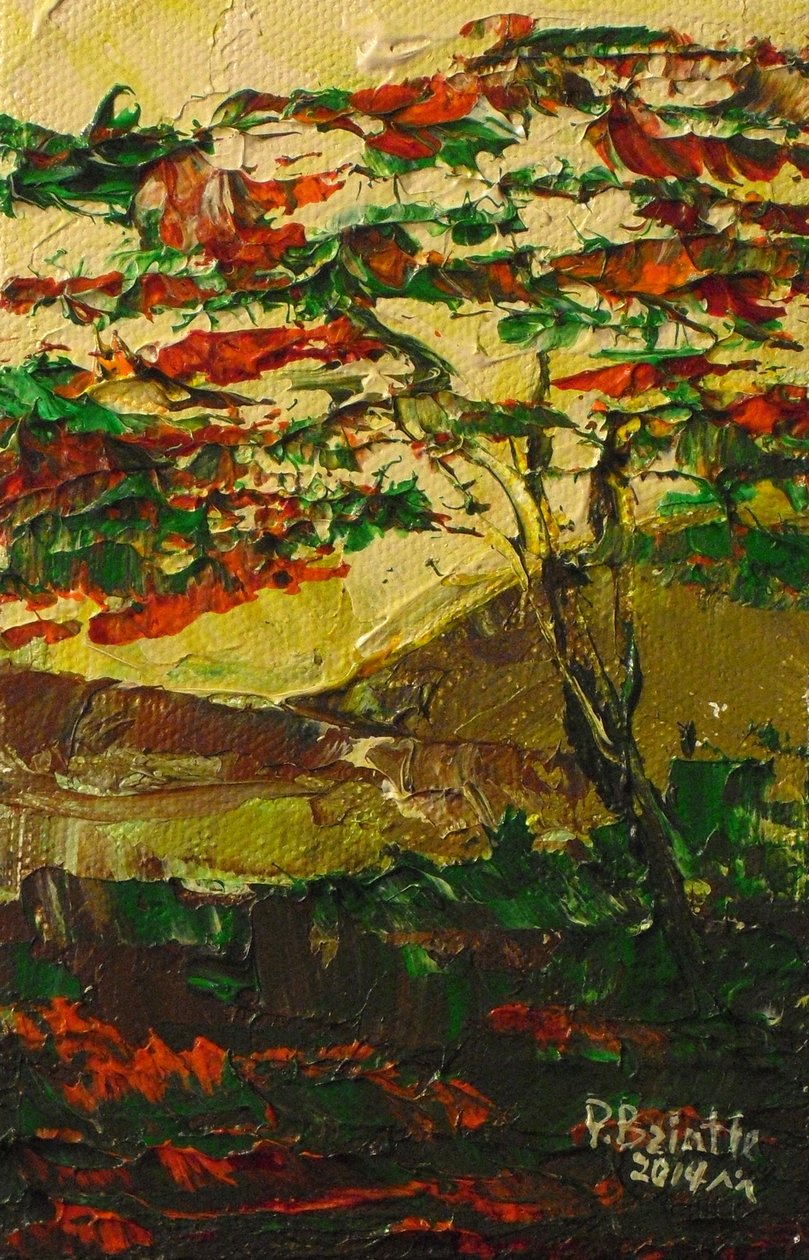 Flamboyant en fleur, 2014 (akril, vászon) alkotó: Patricia Brintle