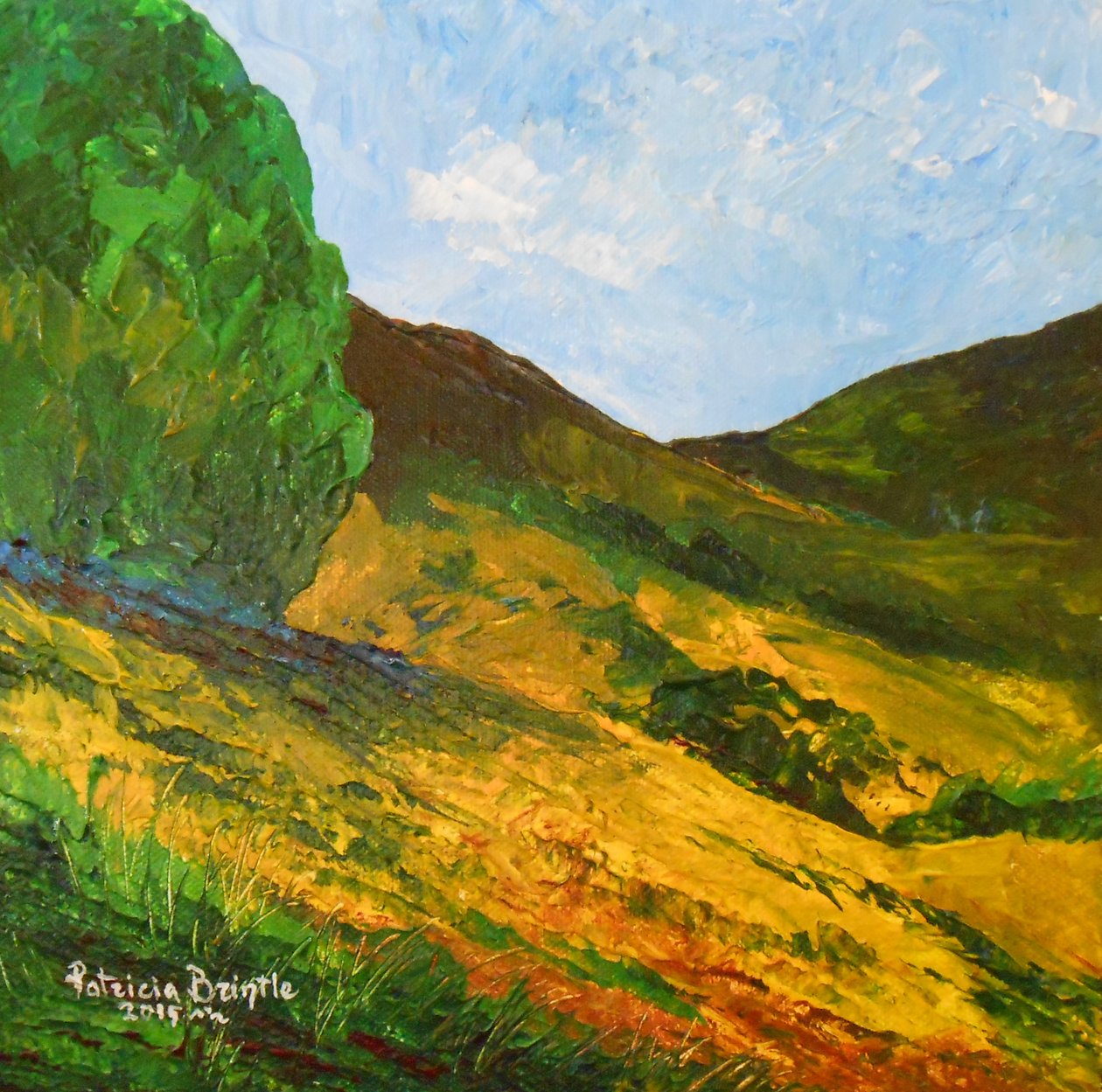 Morne La Selle, 2015 (akril, vászon) alkotó: Patricia Brintle