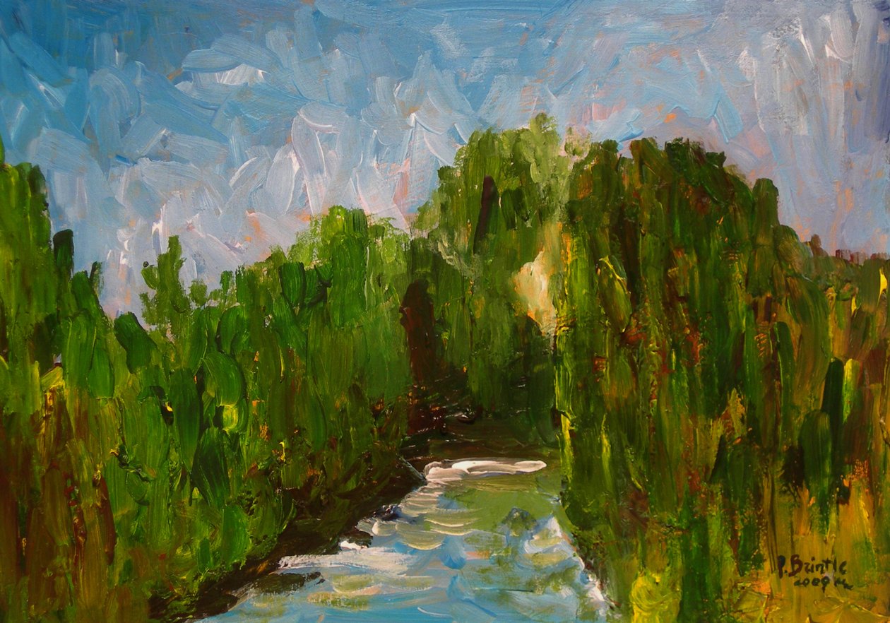 Kanyargós folyó, 2009 (akril, fa) alkotó: Patricia Brintle