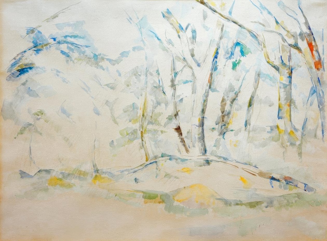 Aljnövényzet alkotó: Paul Cézanne