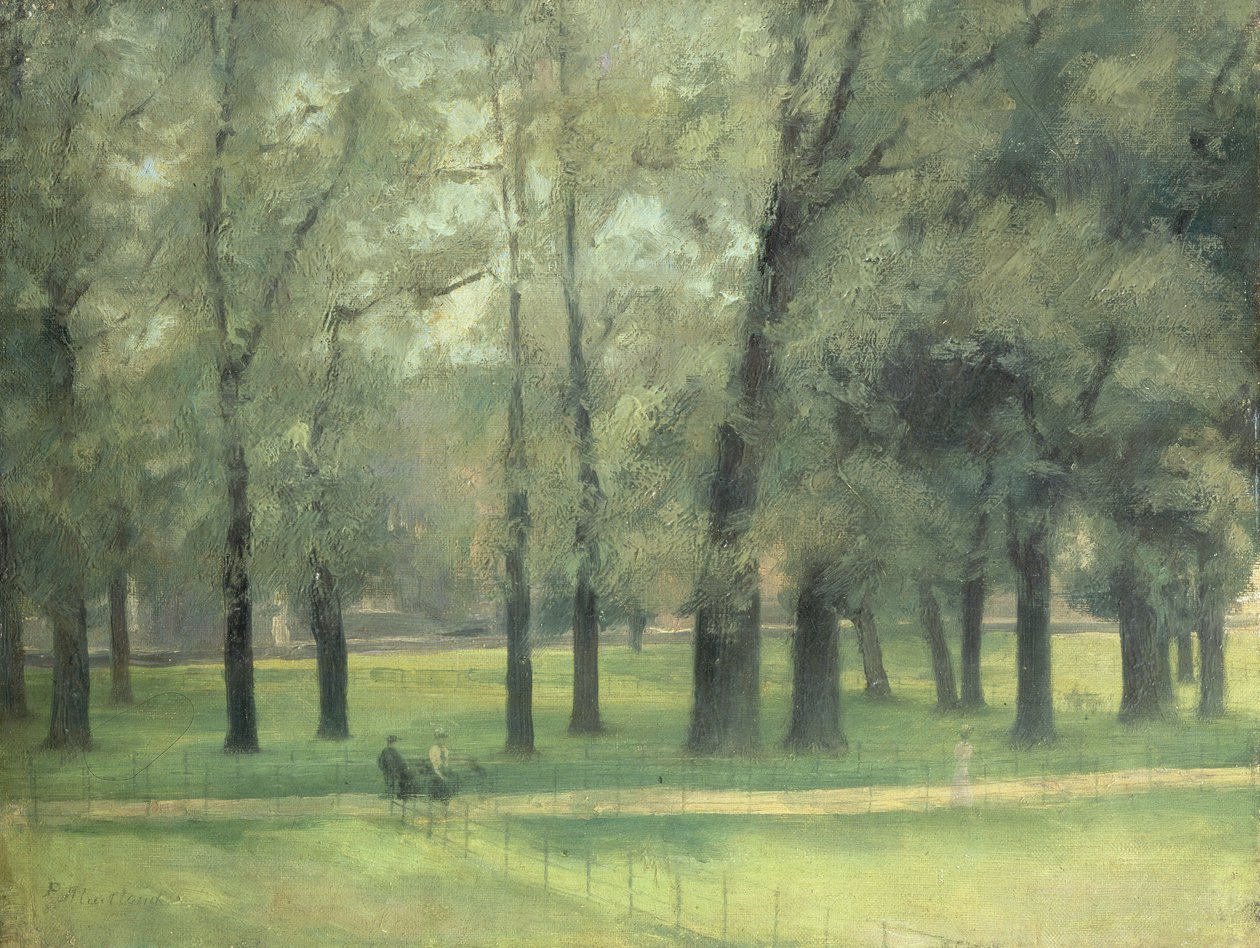 Szilfák a Long Walk közelében alkotó: Paul Fordyce Maitland