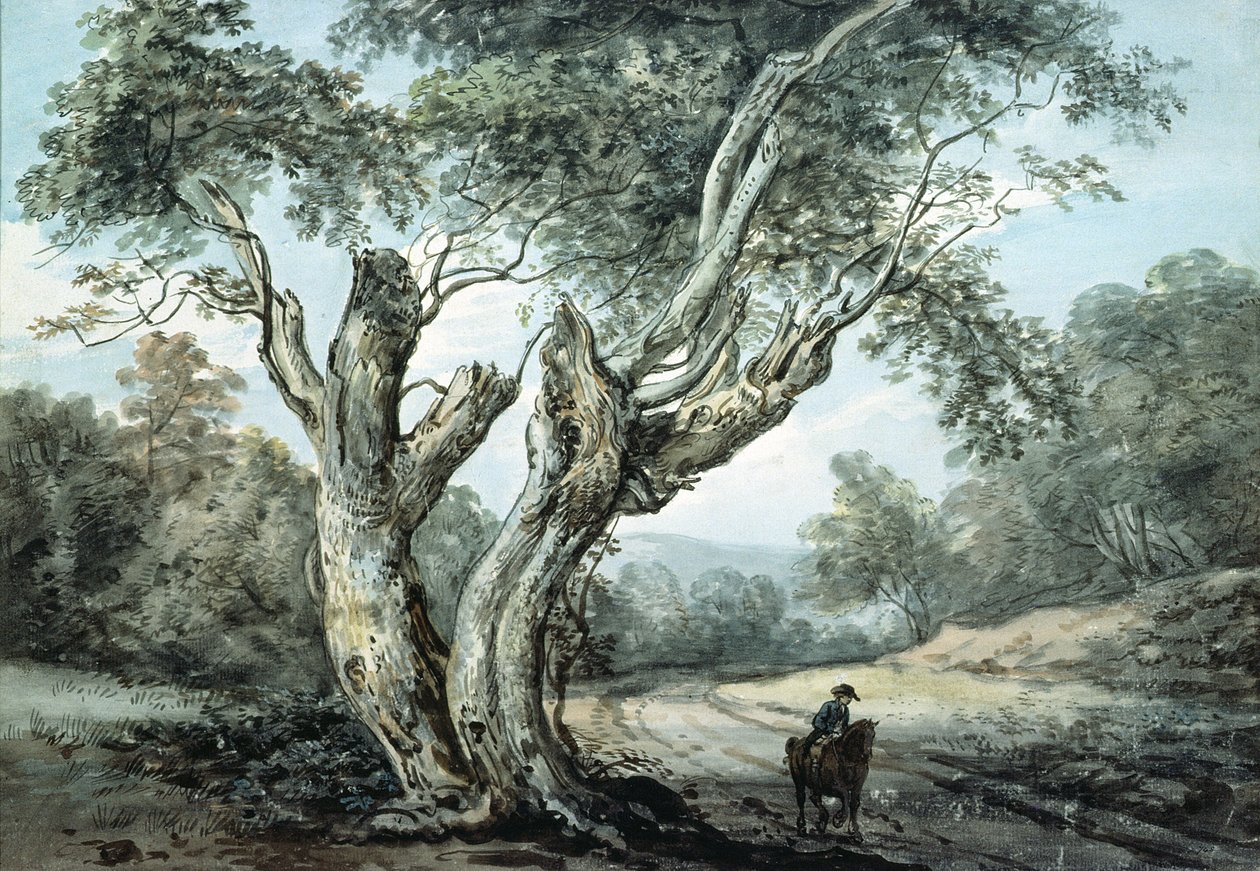 Út a windsori erdőn keresztül (akvarell) alkotó: Paul Sandby