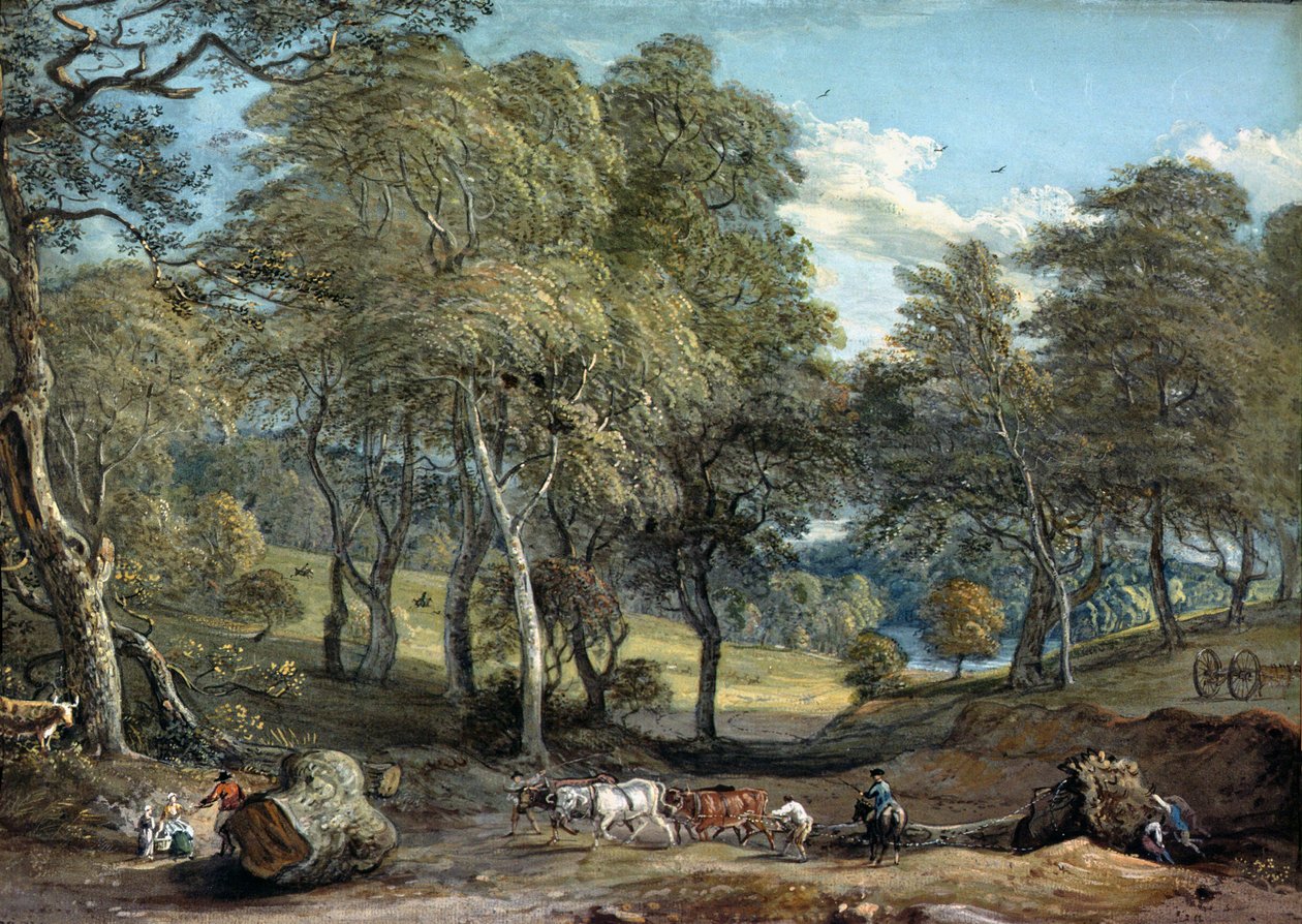 Windsori erdő ökrök rajzfával, 1798 alkotó: Paul Sandby