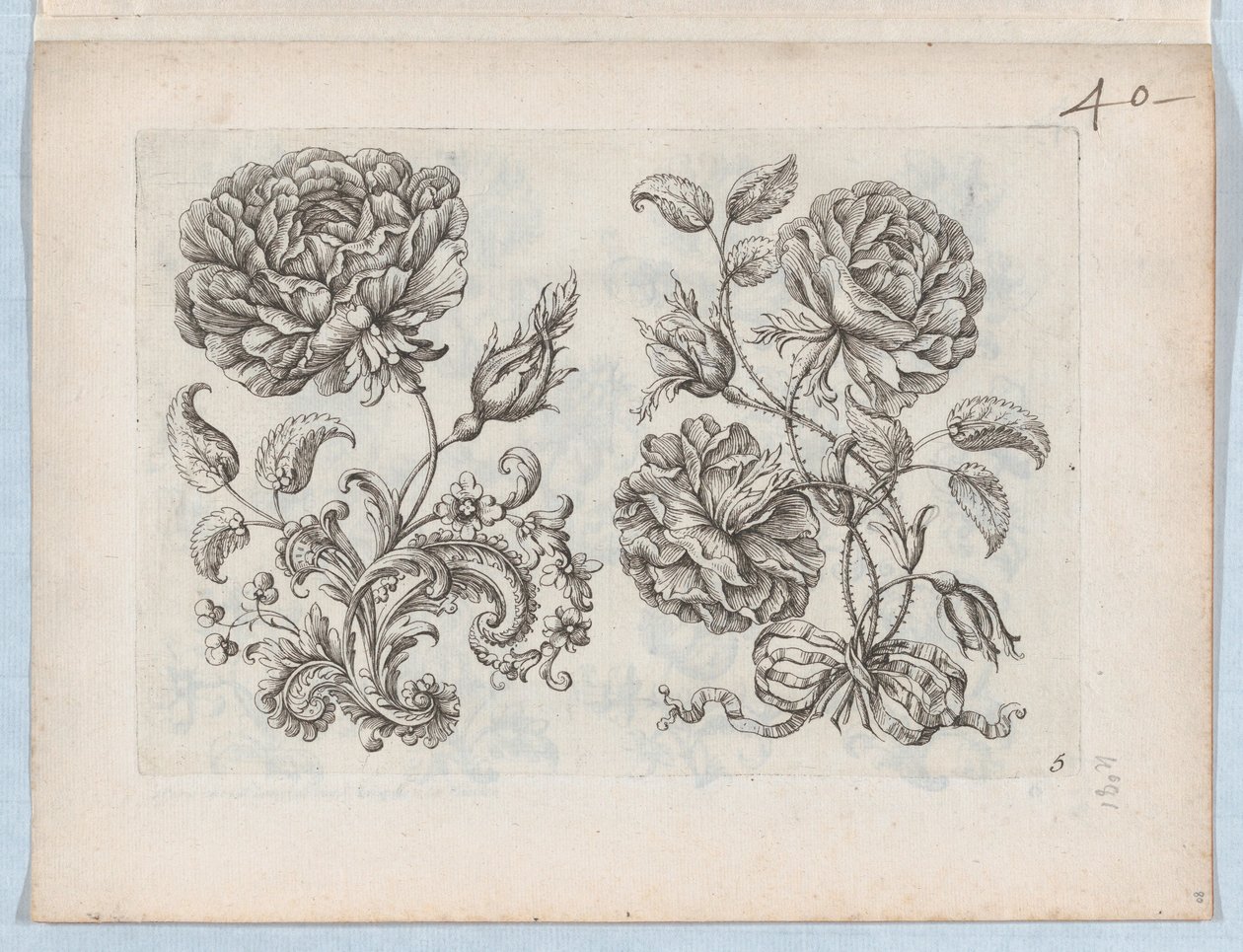 Kis virágmotívumok sorozata, 5. tábla, kb. 1670-85., kb. 1670-85. alkotó: Paul Androuet Du Cerceau