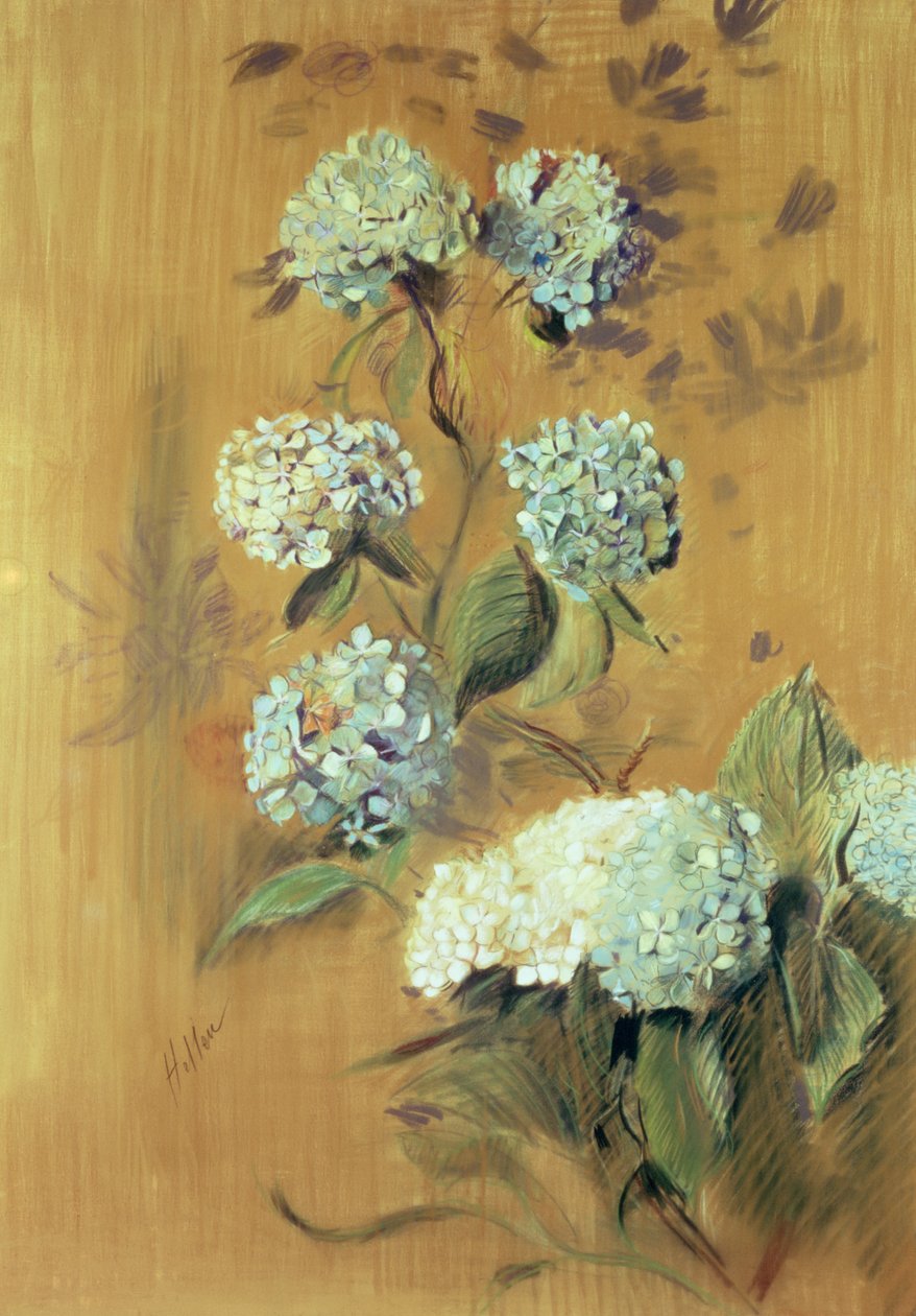 Hortenzia (pasztell, papíron) alkotó: Paul Cesar Helleu