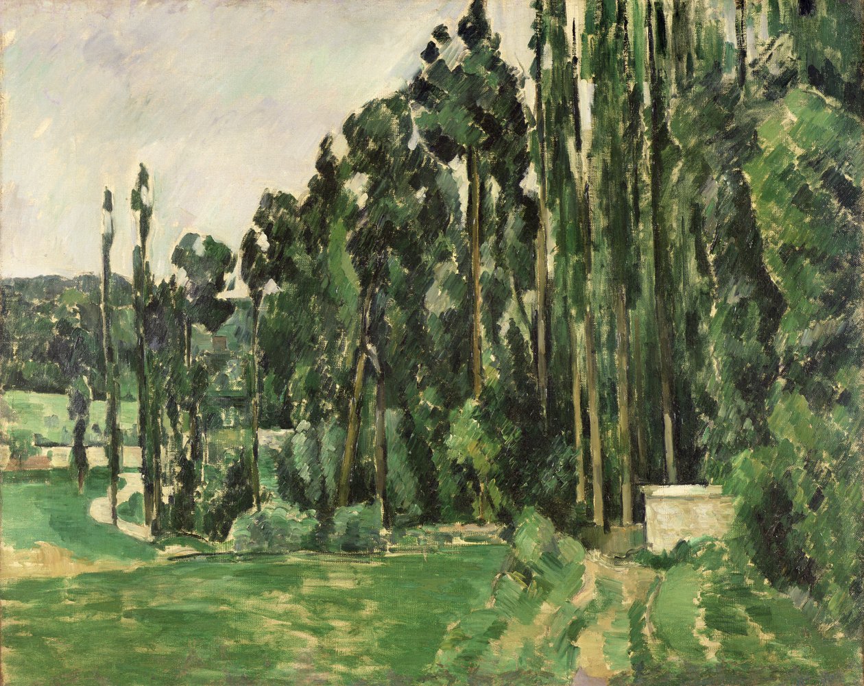 Nyárfa, 1879-82 körül (olaj, vászon) alkotó: Paul Cézanne