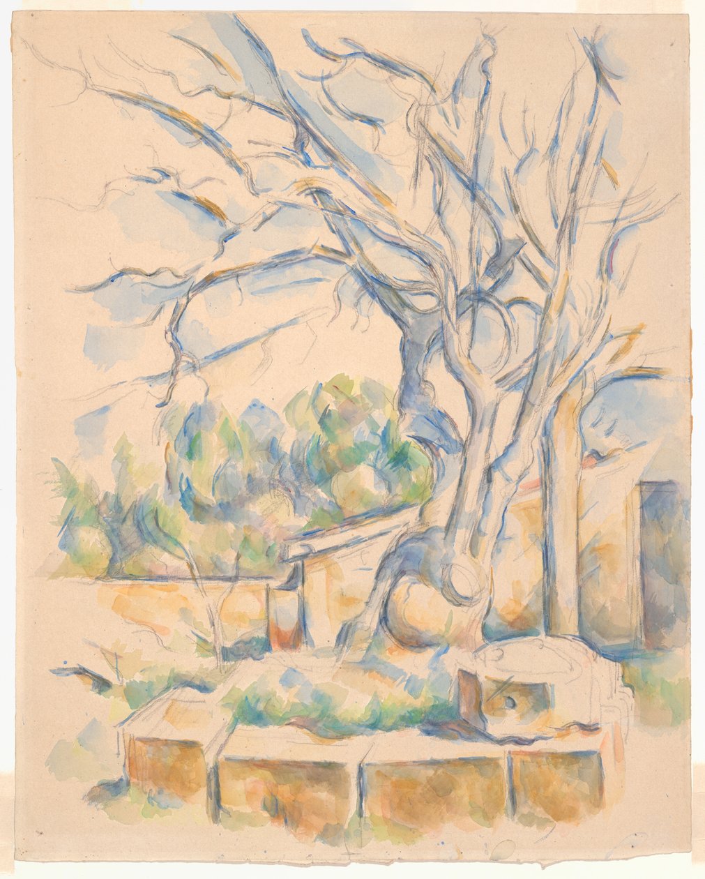 Pisztáciafa a Château Noir-ban alkotó: Paul Cézanne