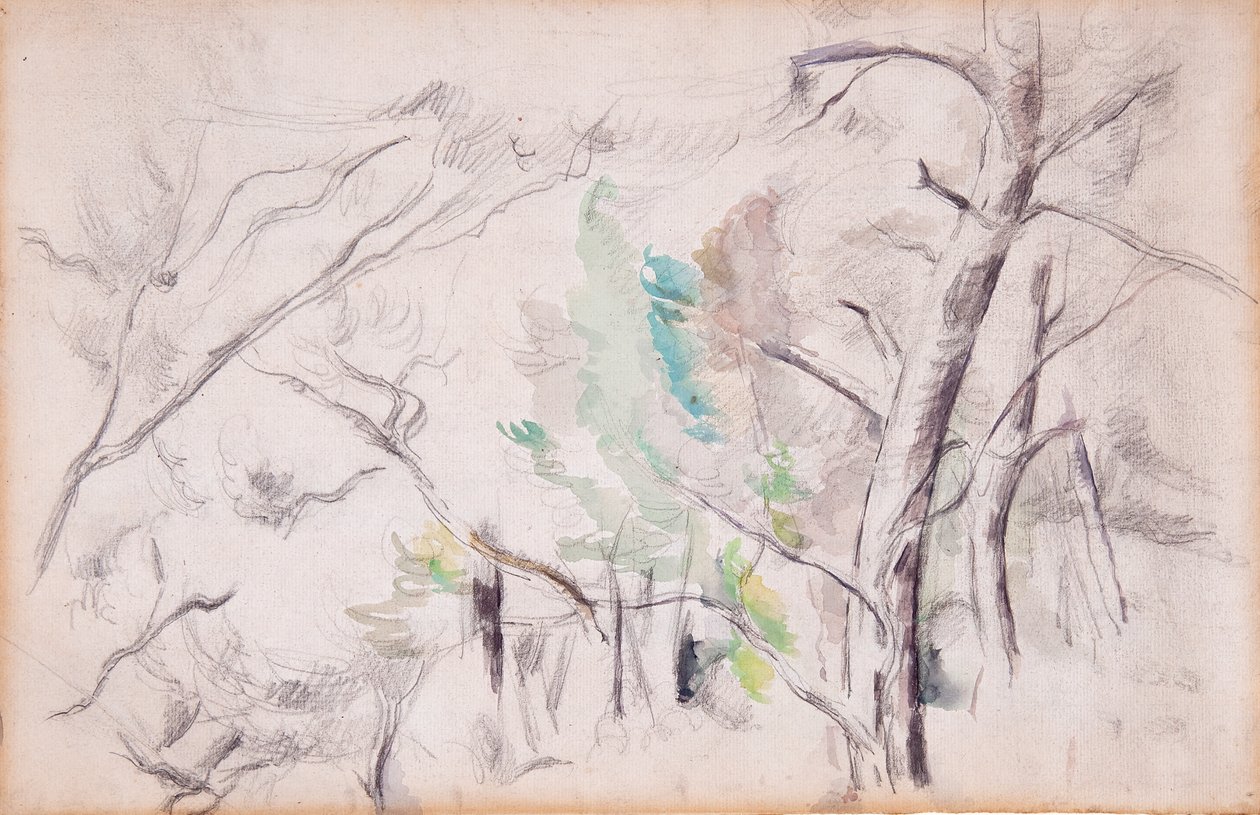 Fák [recto]; Encagnane a Pilon du Roi-val [vissza] alkotó: Paul Cézanne