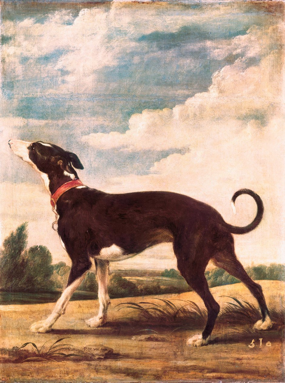 Egy élesztő (festmény) alkotó: Paul De Vos