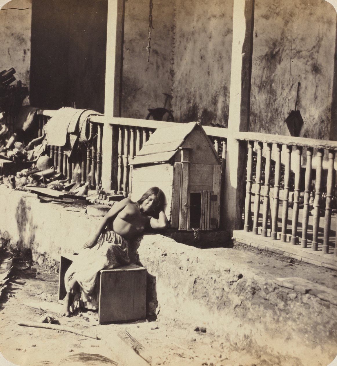 Garvel Martinique kutya, 1870-es évek. alkotó: Paul Emile Miot