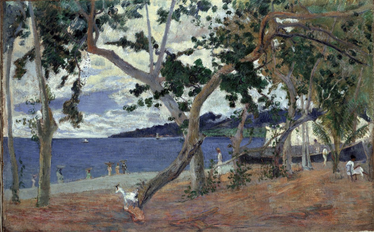 A tengerparton, Martinique par Gauguin, Paul Eugene Henri (1848-1903). Olaj, vászon, mérete: 54x90 alkotó: Paul Gauguin