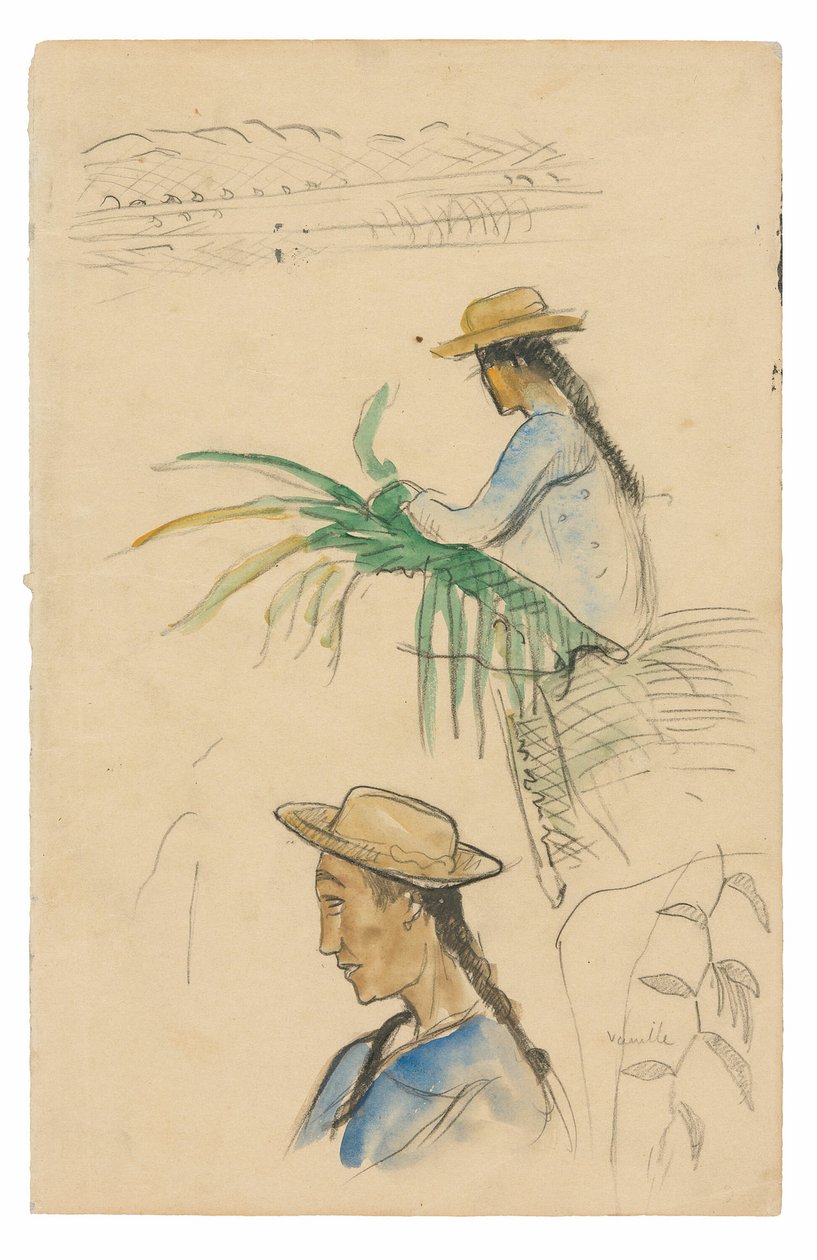 Vázlatok figurákról, pandanus levélről és vanílianövényről alkotó: Paul Gauguin