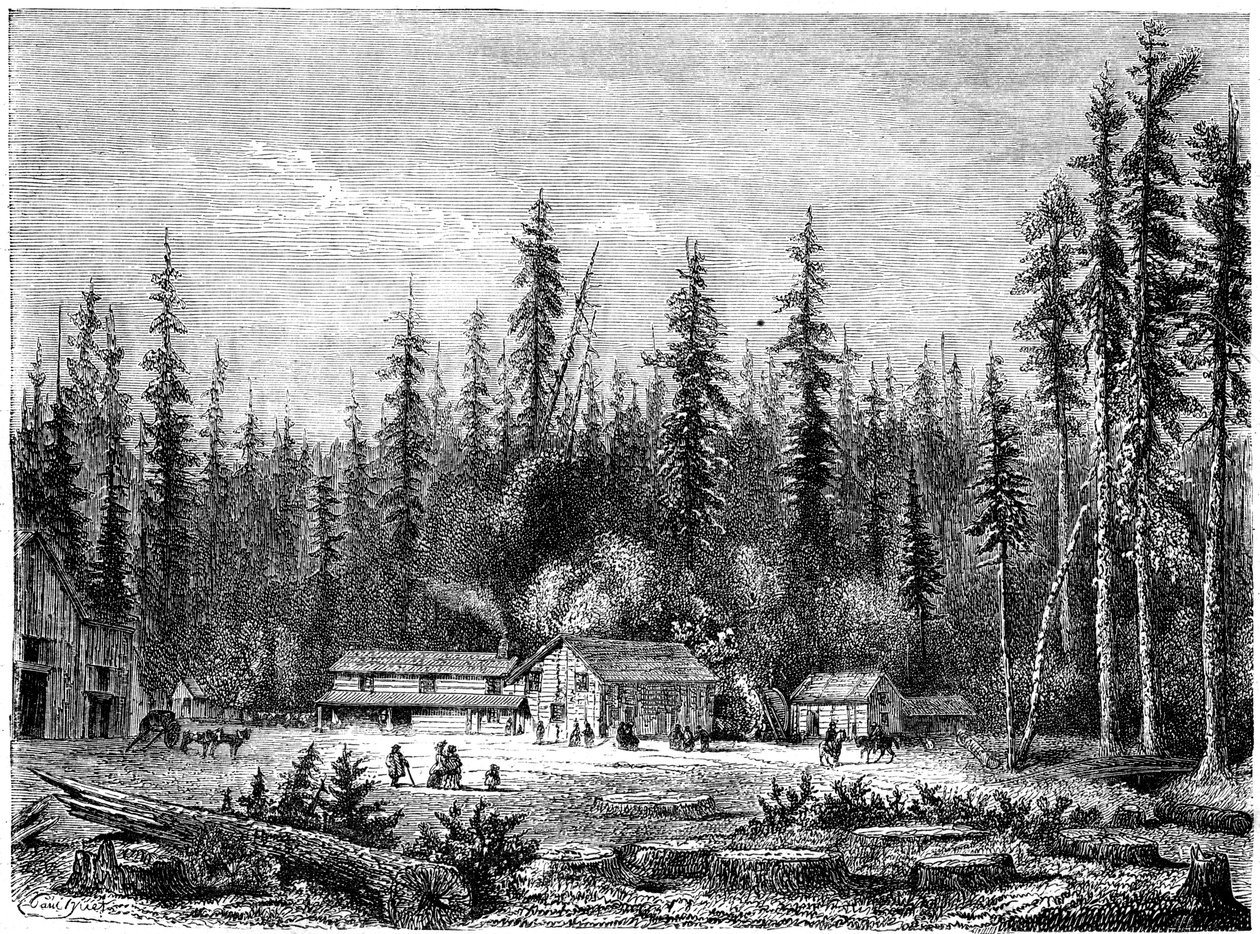 Óriás sequoia erdő, Kalifornia, 19. század. alkotó: Paul Huet