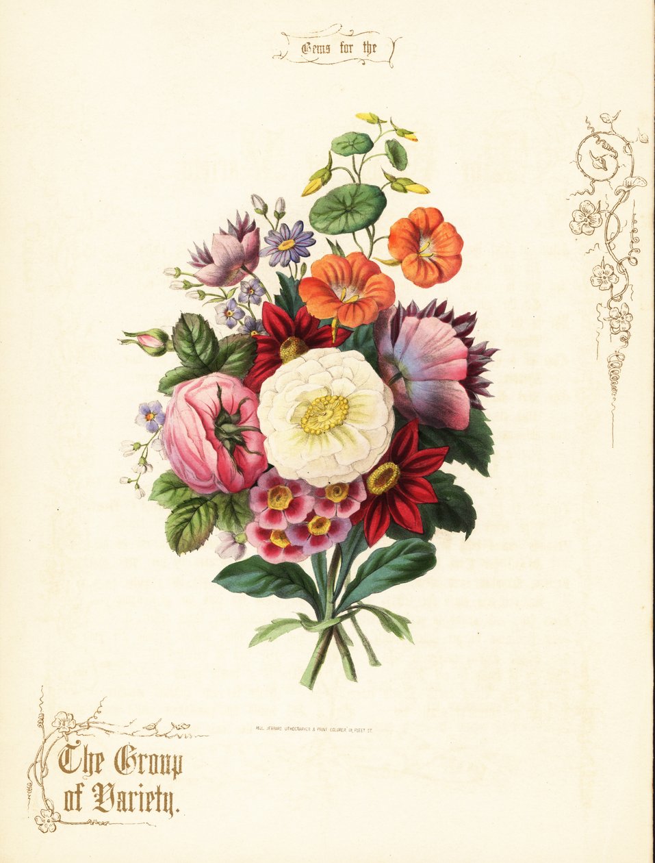 Csokor fehér rózsa, dália, nasturtium, auricula. alkotó: Paul Jerrard
