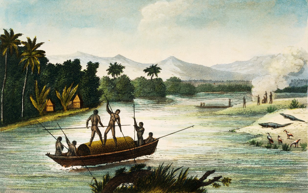 Magdalena River, Kolumbia, Paul Legrand metszetei az Utazások a Kolumbiai Köztársaságban című művéből 1822-ben és 1823-ban, Gaspard Theodore Mollien (1796-1872), Dél-Amerika alkotó: Paul Legrand