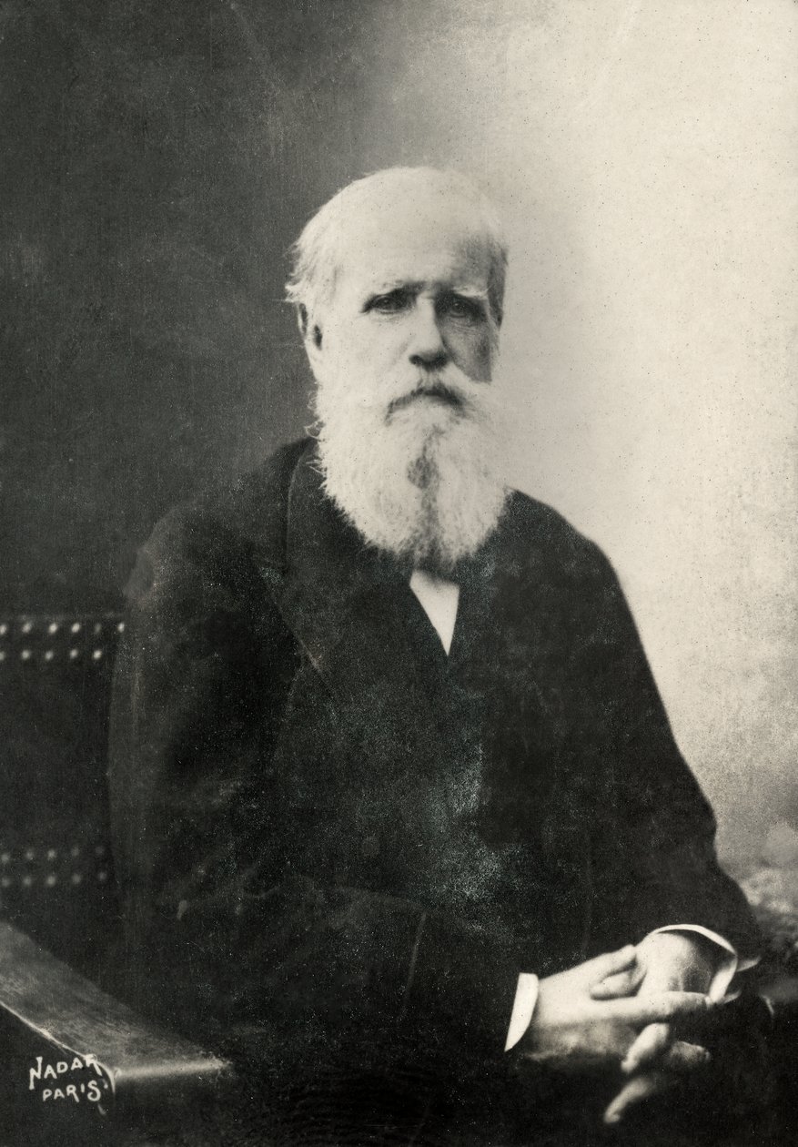  alkotó: Paul Nadar