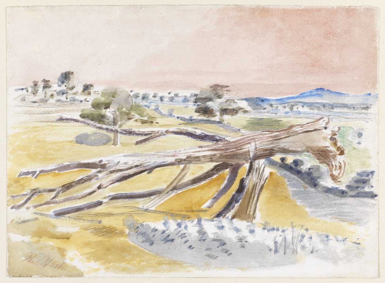 Szörnymező, Tanulmány II alkotó: Paul Nash