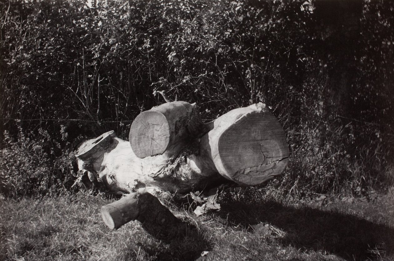 Objektum keresése alkotó: Paul Nash