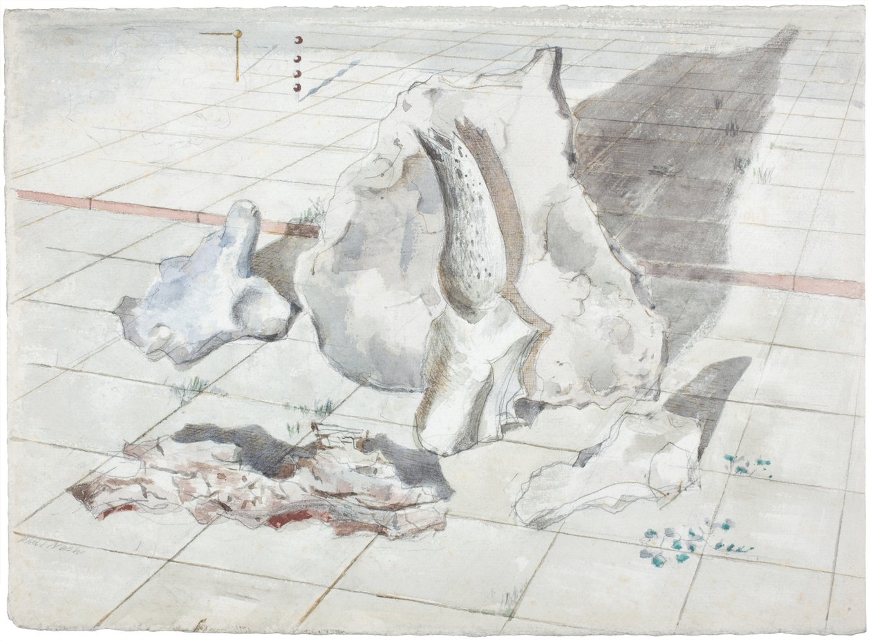 Tanulmány a fehérített tárgyak tájképéhez alkotó: Paul Nash