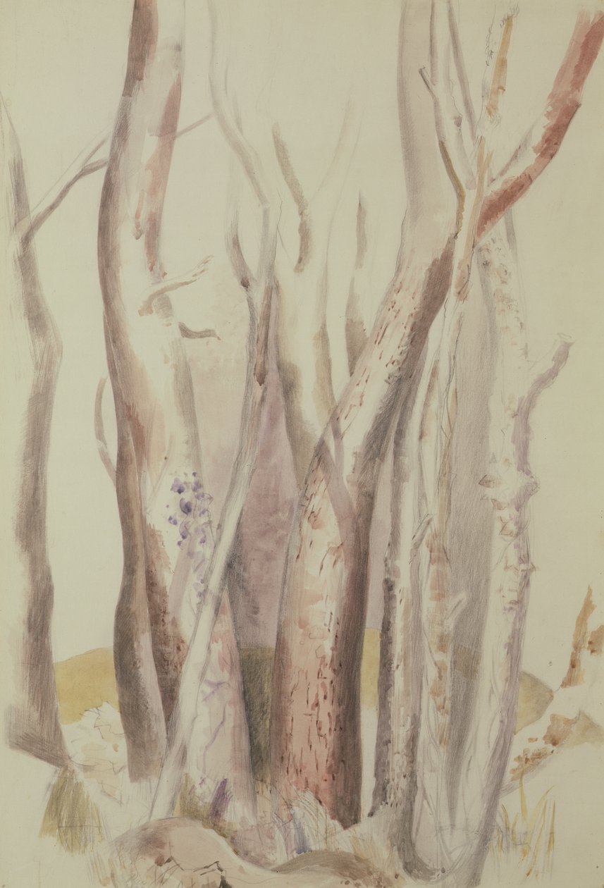 Erdős táj tanulmányozása alkotó: Paul Nash