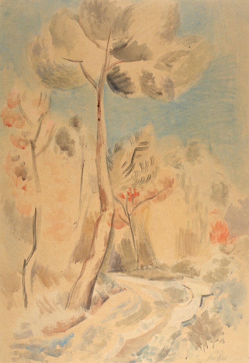 A fenyő (ceruza és akvarell papíron) alkotó: Paul Nash