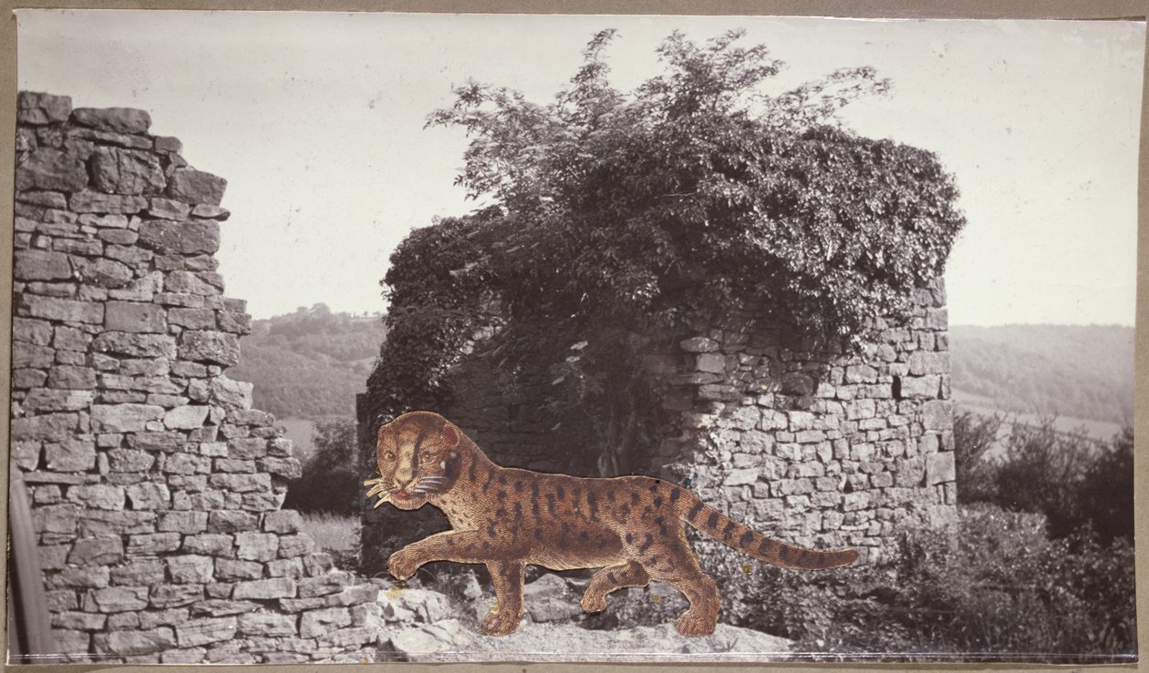 Tigris, tigris, 1938 körül (kollázs) alkotó: Paul Nash