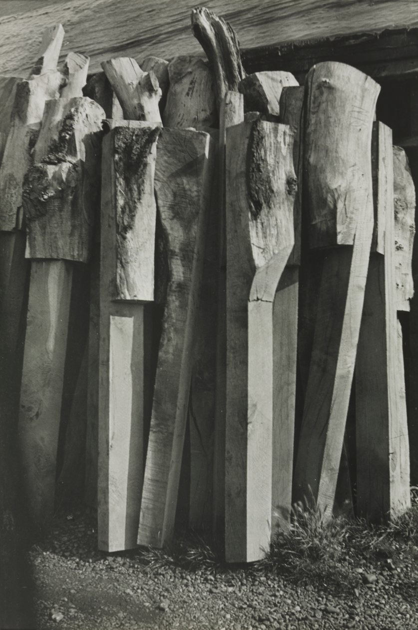 Totemek, Régi Hajógyár, Rozs alkotó: Paul Nash
