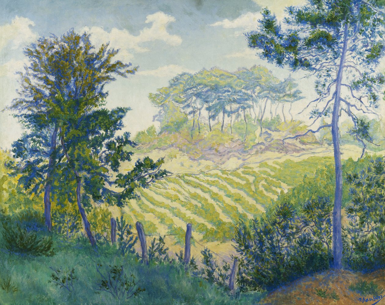 Szőlőültetvények a fenyők alatt; Szőlők a fenyők alatt, c. 1898 alkotó: Paul Elie Ranson