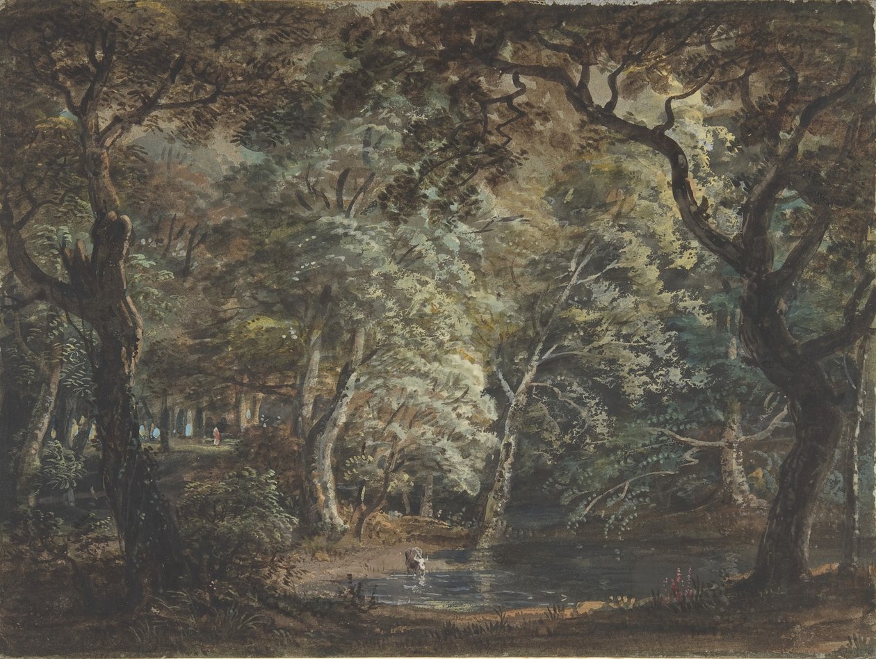 Windsor Great Park, 1790-99. alkotó: Paul Sandby
