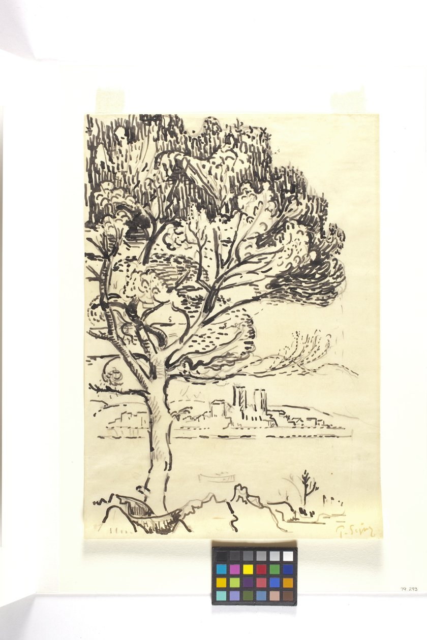 Antibes, esernyőfenyő az előtérben (Antibes, Pin Pignon Au Premier Plan) (fekete tus rajz fekete ceruzával barna szőtt papíron) alkotó: Paul Signac